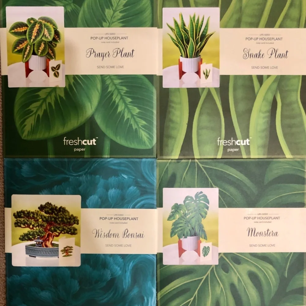 New 4 pc Life Sized Paper House‎ Plants 3D Cards